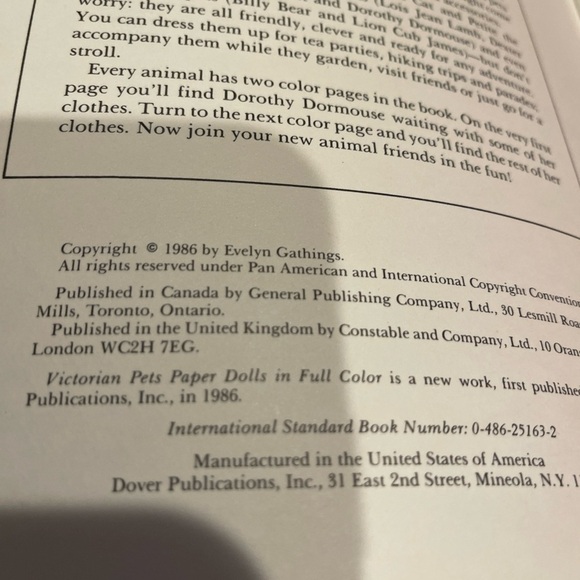 Adorable Victorian Pets Cutout Lamb Cat Bear Rabbit Children's Activity Book New - Picture 2 of 8